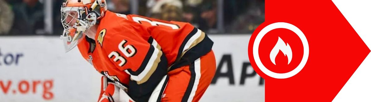 Ducks trade Gibson to Red Wings taken in Rochester, N.Y. (Hot Button)